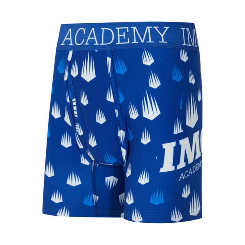 Boxer Briefs|Royal Blue|Men’s / Small|Men’s / Medium|Men’s / Large|Men’s / XLarge