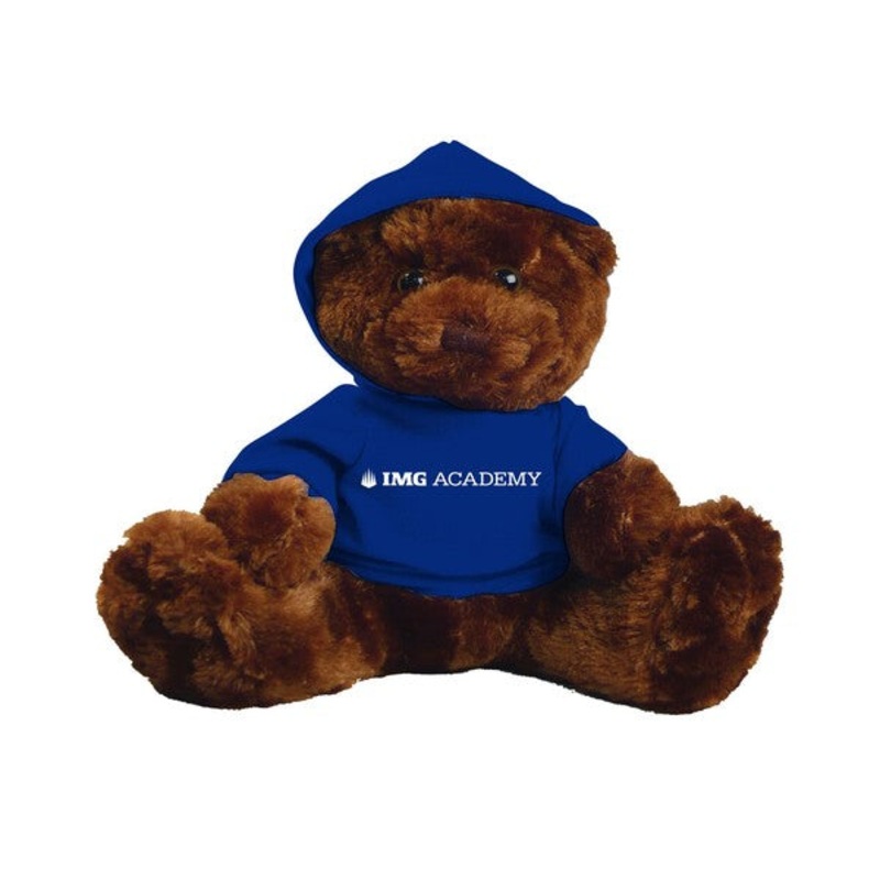 Plush Teddy Bear