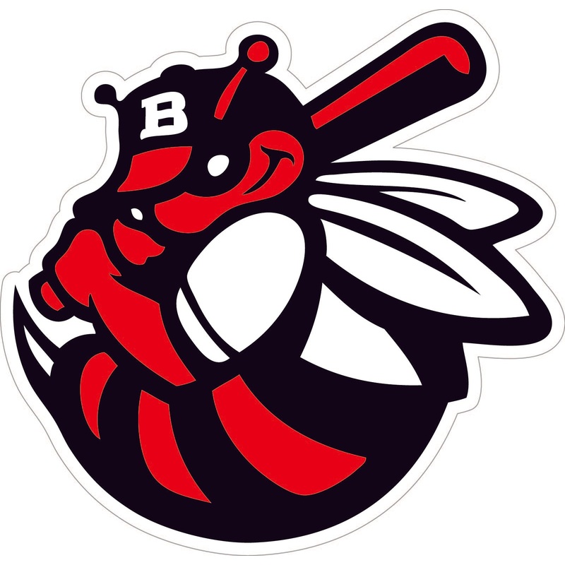 Bat & Bee Decal|5″-6″|(Two-Pack) 3″