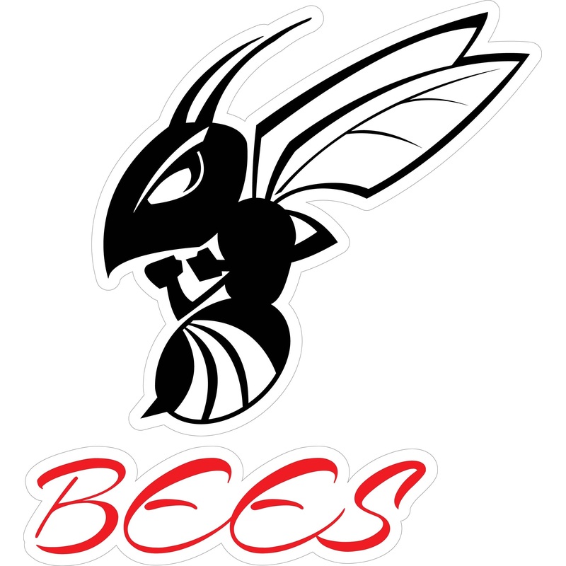 Bees Generic Decal|5″-6″|(Two-Pack) 3″