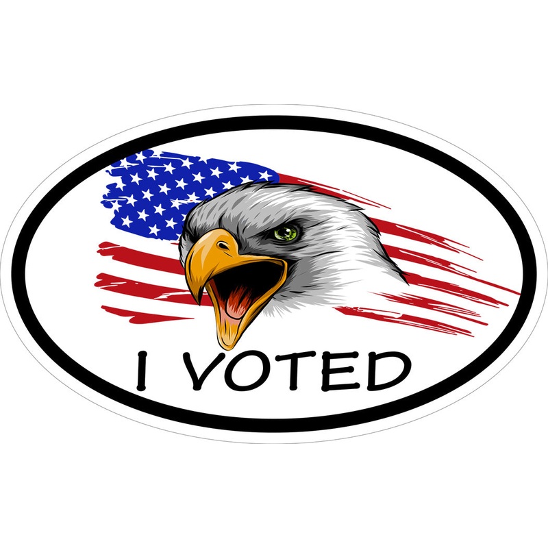 I Voted Patriotic Decal