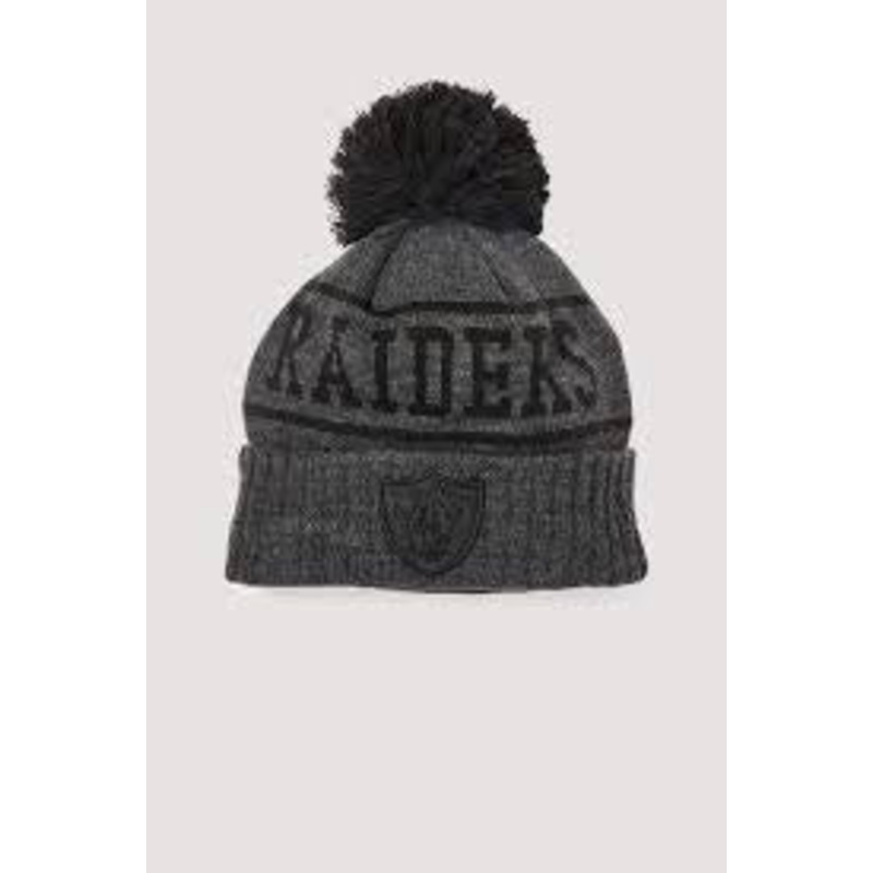 NE Q220 KNIT BEANIE RAIDERS