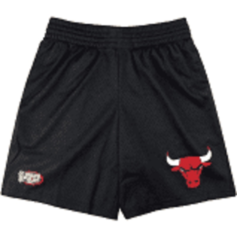 MNS BULLS TEAM MESH SHORT 1173
