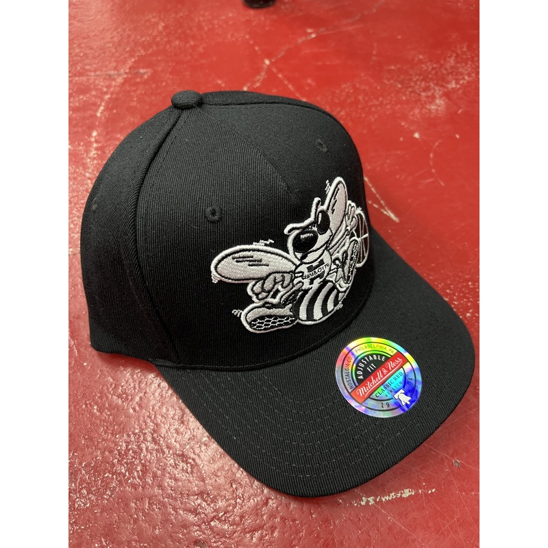 MNN CHARLOTTE HORNETS CAP CH20106