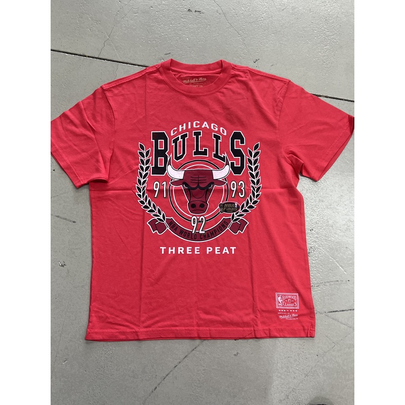 MNCG1831R  BULLS ARCH TEE|L|XL