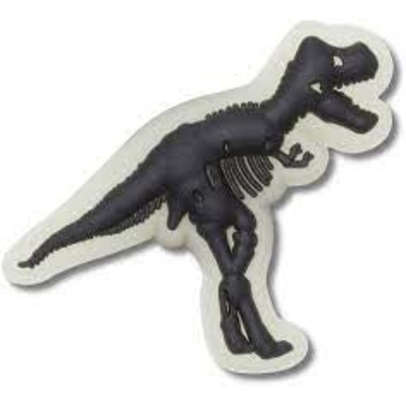 10011705 CROCS JIBBITZ DINO