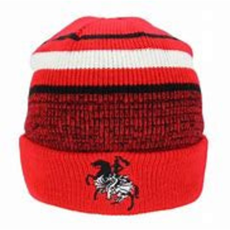 CLUSTER BEANIE DRAGONS