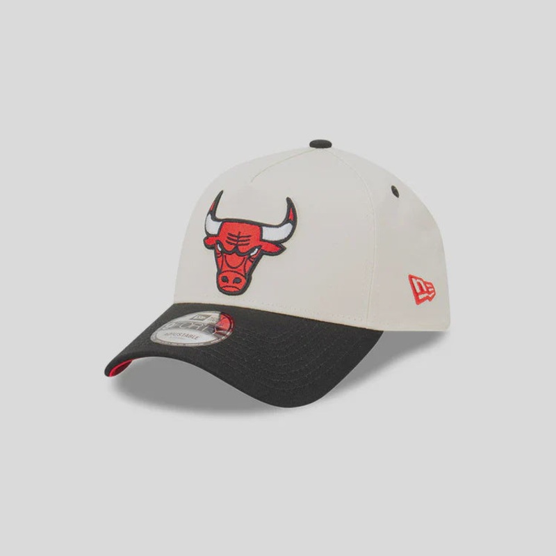 60508590 NE BULLS CAP