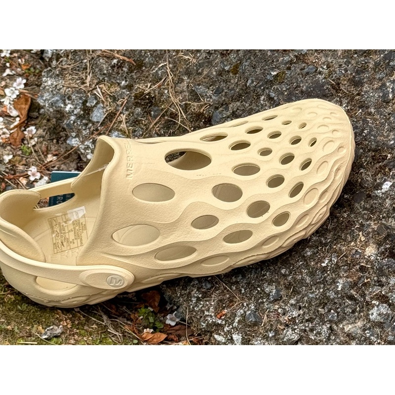 J006413 MERRELL MOC  REED|8|9|10|11|12|13
