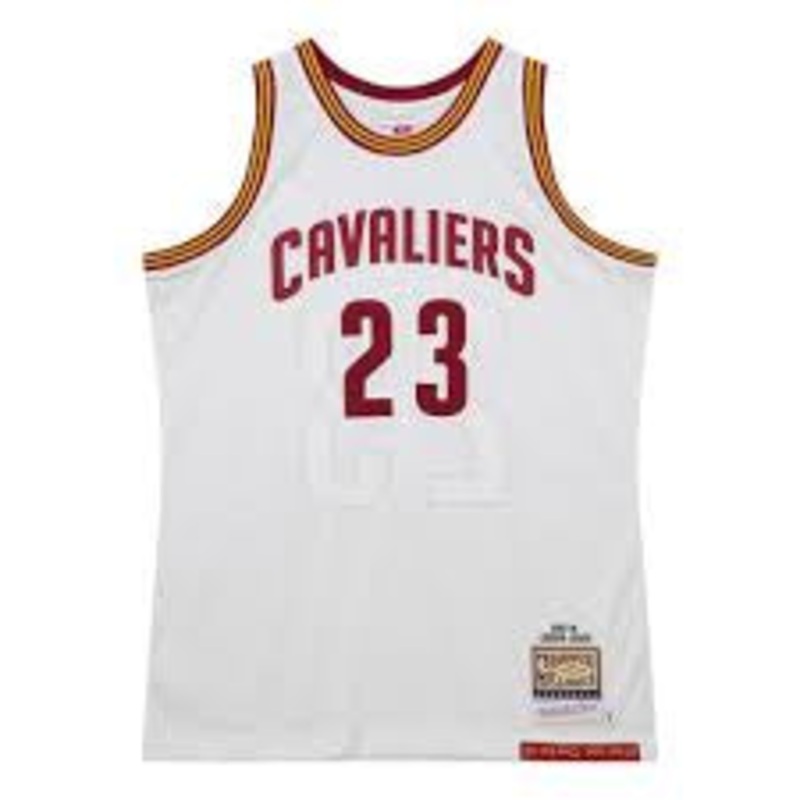 MNCC10747 CAVALIERS JAMES SINGLET