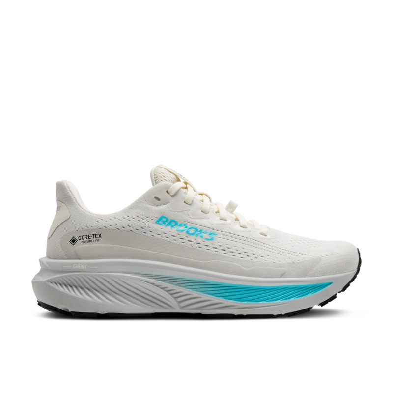 1204511B138 BROOKS GHOST 17 GTX W