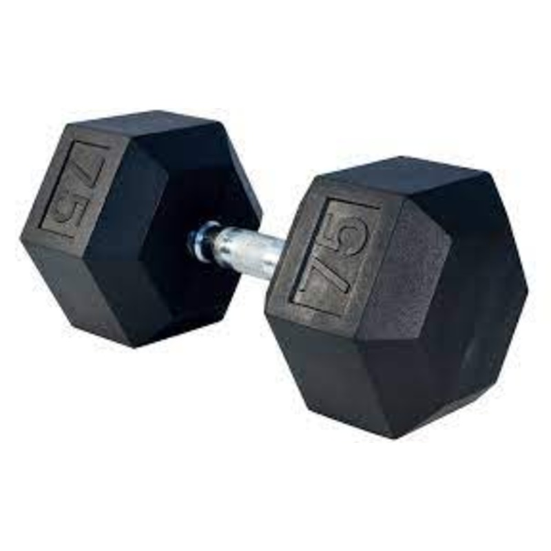 Rubber Hex Dumbbell- 75lbs