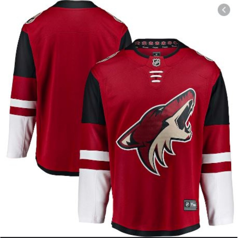 Breakaway Jersey Arizona Coyotes- Blank