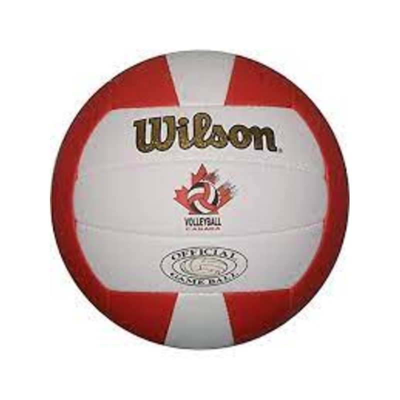 Canada Beach Replica Volleyball
