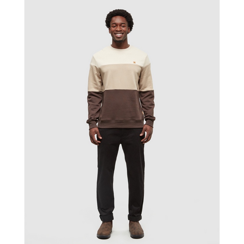 Tentree Men’s Blocked Reynard Crew