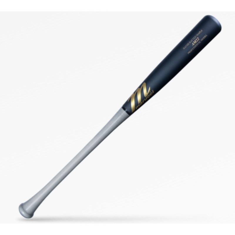 AM22 PRO MODEL|-3|33